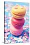 Some Appetizing Macarons of Different Flavors-nito-Stretched Canvas