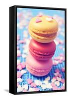 Some Appetizing Macarons of Different Flavors-nito-Framed Stretched Canvas