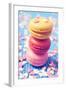 Some Appetizing Macarons of Different Flavors-nito-Framed Photographic Print