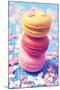 Some Appetizing Macarons of Different Flavors-nito-Mounted Photographic Print
