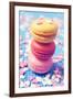 Some Appetizing Macarons of Different Flavors-nito-Framed Photographic Print