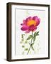 Some Favorites IV-Shirley Novak-Framed Art Print