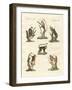 Some Kinds of Monkeys-null-Framed Giclee Print