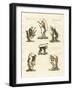 Some Kinds of Monkeys-null-Framed Giclee Print