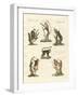 Some Kinds of Monkeys-null-Framed Giclee Print