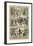 Some New Year Customs in Galloway-Alexander Stuart Boyd-Framed Giclee Print