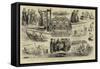 Some Notes at a Ladies' Swimming Competition-Godefroy Durand-Framed Stretched Canvas