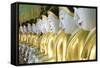 Some of the 45 Buddha Images Found at a Crescent-Shaped Colonnade at Umin Thounzeh on Sagaing Hill-Lee Frost-Framed Stretched Canvas
