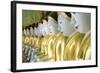 Some of the 45 Buddha Images Found at a Crescent-Shaped Colonnade at Umin Thounzeh on Sagaing Hill-Lee Frost-Framed Photographic Print