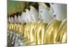 Some of the 45 Buddha Images Found at a Crescent-Shaped Colonnade at Umin Thounzeh on Sagaing Hill-Lee Frost-Mounted Photographic Print