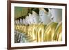 Some of the 45 Buddha Images Found at a Crescent-Shaped Colonnade at Umin Thounzeh on Sagaing Hill-Lee Frost-Framed Photographic Print