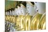 Some of the 45 Buddha Images Found at a Crescent-Shaped Colonnade at Umin Thounzeh on Sagaing Hill-Lee Frost-Mounted Photographic Print