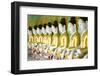 Some of the 45 Buddha Images Found at a Crescent-Shaped Colonnade at Umin Thounzeh on Sagaing Hill-Lee Frost-Framed Photographic Print