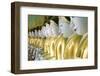 Some of the 45 Buddha Images Found at a Crescent-Shaped Colonnade at Umin Thounzeh on Sagaing Hill-Lee Frost-Framed Premium Photographic Print