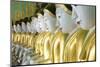 Some of the 45 Buddha Images Found at a Crescent-Shaped Colonnade at Umin Thounzeh on Sagaing Hill-Lee Frost-Mounted Premium Photographic Print