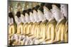 Some of the 45 Large Buddha Images at Umin Thounzeh, Mandalay, Myanmar (Burma)-Matthew Williams-Ellis-Mounted Photographic Print