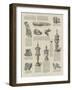 Some of the Exhibits at the Tudor Exhibition-null-Framed Giclee Print