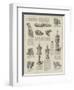 Some of the Exhibits at the Tudor Exhibition-null-Framed Giclee Print