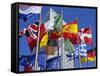 Some of the Flags of the European Union, La Defense, Paris, France, Europe-Neale Clarke-Framed Stretched Canvas