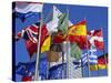 Some of the Flags of the European Union, La Defense, Paris, France, Europe-Neale Clarke-Stretched Canvas