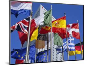 Some of the Flags of the European Union, La Defense, Paris, France, Europe-Neale Clarke-Mounted Photographic Print