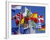 Some of the Flags of the European Union, La Defense, Paris, France, Europe-Neale Clarke-Framed Photographic Print