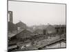 Some of the Shops, Great Lakes Engineering Works, Ecorse, Mich.-null-Mounted Photo