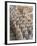 Some of the Six Thousand Statues in the Army of Terracotta Warriors, Shaanxi Province, China-Gavin Hellier-Framed Photographic Print