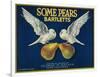 Some Pears Pear Crate Label - Napa, CA-Lantern Press-Framed Art Print