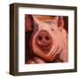 Some Pig-Patty Voje-Framed Art Print