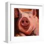 Some Pig-Patty Voje-Framed Art Print