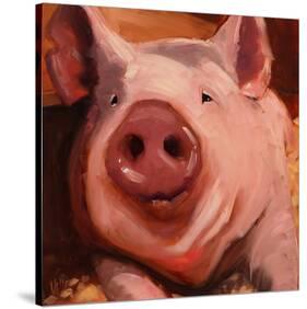 Some Pig-Patty Voje-Stretched Canvas