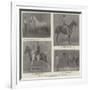 Some Prize Winners at the Royal Dublin Horse Show-null-Framed Giclee Print