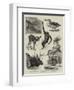 Some Recent Additions to the Zoological Gardens-null-Framed Giclee Print