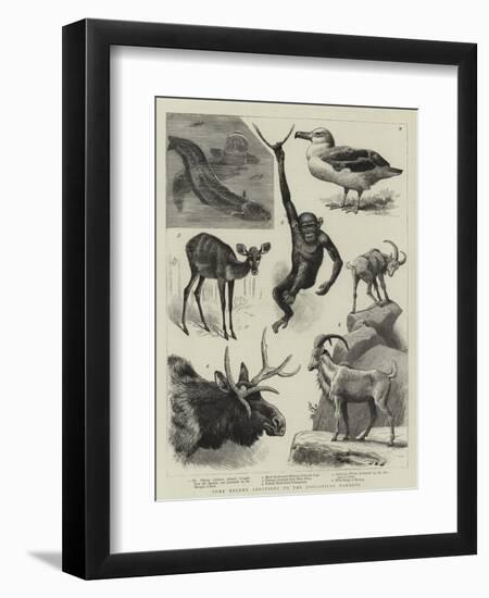 Some Recent Additions to the Zoological Gardens-null-Framed Premium Giclee Print