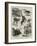 Some Recent Additions to the Zoological Gardens-null-Framed Giclee Print