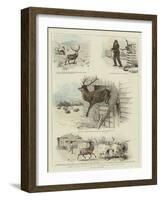 Some Scenes in the Life of Sutherland, Our Tame Stag-Charles Burton Barber-Framed Giclee Print