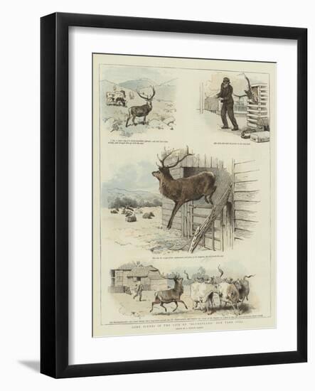 Some Scenes in the Life of Sutherland, Our Tame Stag-Charles Burton Barber-Framed Giclee Print