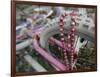 Some Six Months after Hurricane Katrina the Gulf Coast Mardi Gras Beads are Flying Again-null-Framed Photographic Print