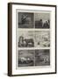 Some Studies of Animal Life by Instantaneous Photography-null-Framed Giclee Print