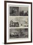 Some Studies of Animal Life by Instantaneous Photography-null-Framed Giclee Print