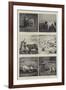 Some Studies of Animal Life by Instantaneous Photography-null-Framed Giclee Print