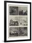 Some Studies of Animal Life by Instantaneous Photography-null-Framed Giclee Print