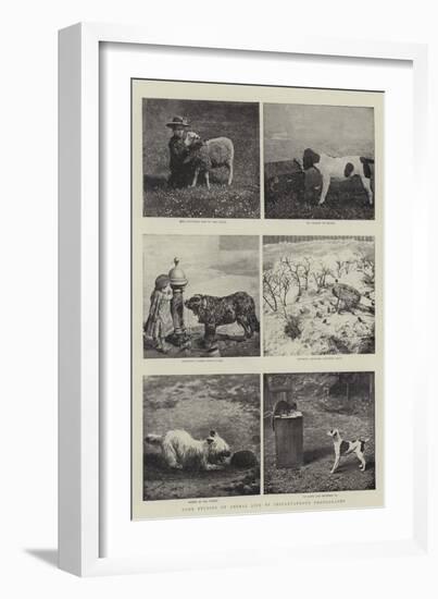 Some Studies of Animal Life by Instantaneous Photography-null-Framed Giclee Print