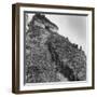 Some Tikal Ruins-Fritz Goro-Framed Photographic Print