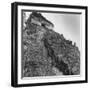Some Tikal Ruins-Fritz Goro-Framed Photographic Print