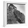 Some Tikal Ruins-Fritz Goro-Framed Photographic Print