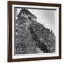 Some Tikal Ruins-Fritz Goro-Framed Photographic Print