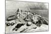 Some Tools and Objects Used by Sir John Franklin-null-Mounted Giclee Print