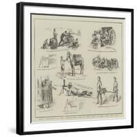 Some Varieties of the Nordenfelt Gun as Now Used in the Army and Navy-null-Framed Giclee Print